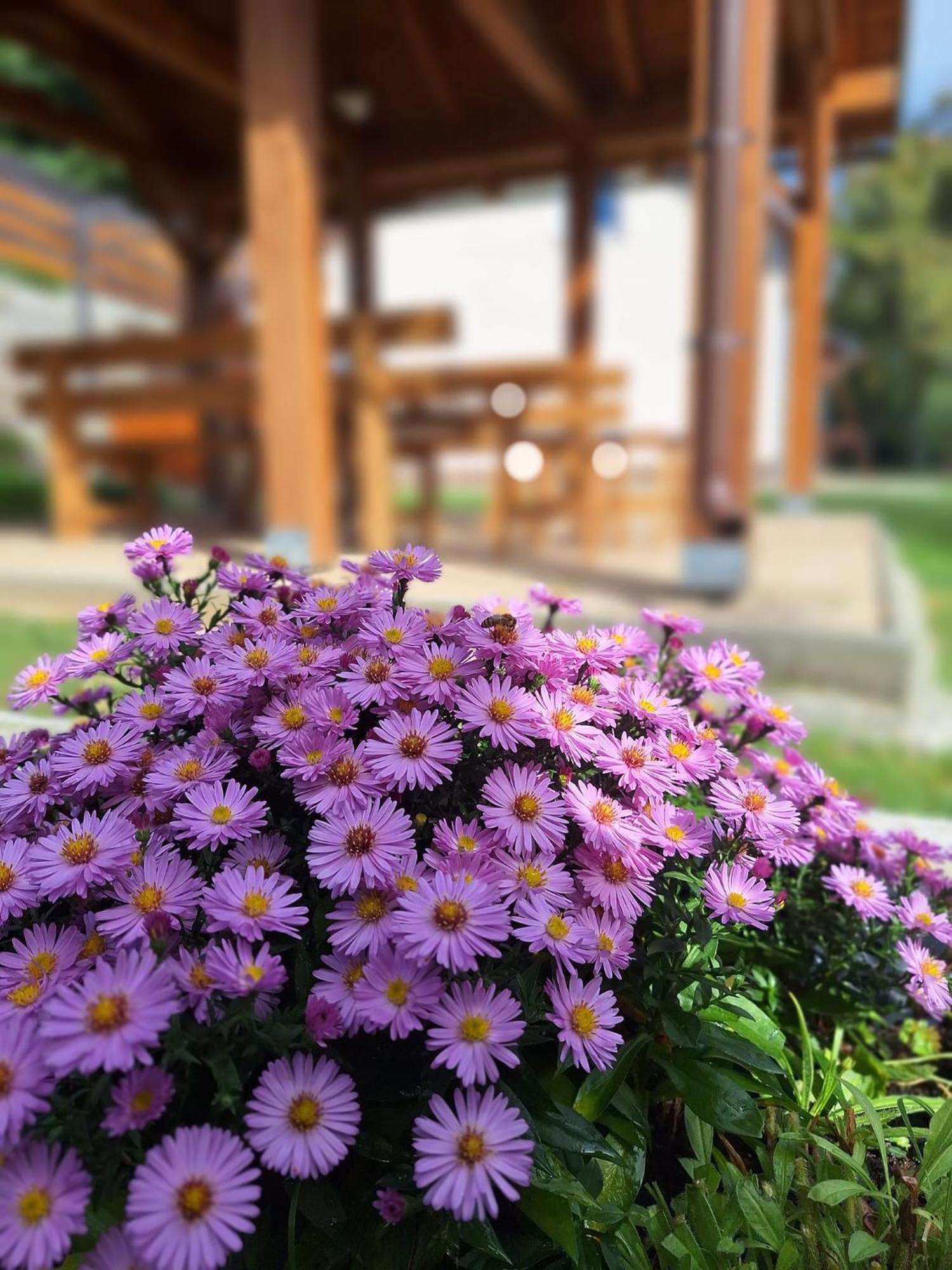 Burg Nad Banskou Stiavnicou Guest House Stiavnicke Bane Luaran gambar